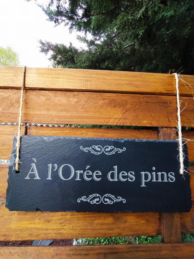 A L'Oree Des Pins - Gite Et Spa De 30 M2- Home Cinema Et Massage En Sup Cuges-les-Pins Zewnętrze zdjęcie